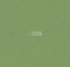 Линолеум Forbo Marmoleum Bulletin Board 2213 baby lettuce фото 1 | FLOORDEALER